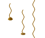 Magic Rope