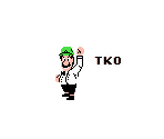 Referee Luigi