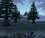 Dancing Affinity (Forest)