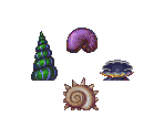 Shells