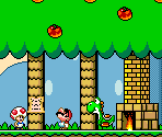 Yoshi's House