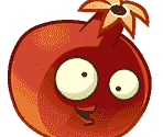 Pomegranate (Unused)