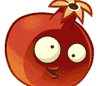 Pomegranate
