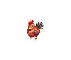 Cluck Cluck Warrior