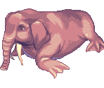 Sea Elephant