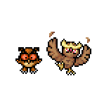 Hoothoot & Noctowl