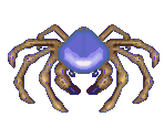 Artic Spider