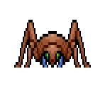 Spider