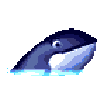 Orca