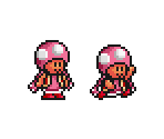 Toadette (SMB3 SNES-Style)