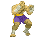 Sagat