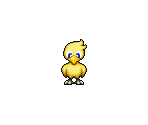 Chocobo