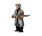 Nazi Rifleman Arctic