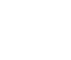 Nintendo Logo