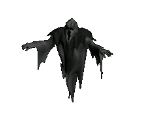 Shadow