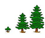 Tree Nursery
