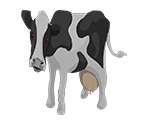 Cow