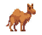 Camel