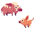 Boars