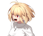 Arcueid Brunestud (12/23)