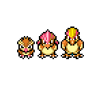 Pidgey, Pidgeotto, & Pidgeot