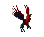 Hippogryph