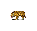 Mad Tiger