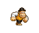 Swanky Kong (Donkey Kong: King of Swing-Style)