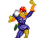 Captain Falcon