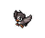 #396 Starly