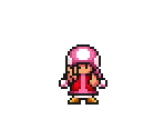 Toadette + Others (SMB1 SNES-Style)