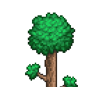 Forest Tree