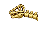 10 Skeleton Dinosaur