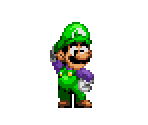 Luigi (Sonic 1/CD-Style)
