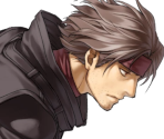 Volke