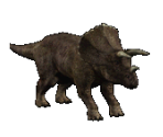 Triceratops