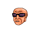 Richter (Sunglasses)