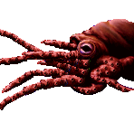 Hell Octopus