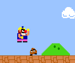 Super Wario Bros.