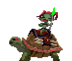 Turtle Rider