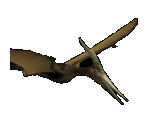 Pterodactyl