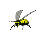 Wasp