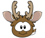 Reindeer Puffle