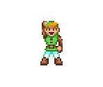 Link (Zelda 2, Expanded)