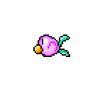 Parrotfish