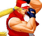 Terry Bogard