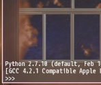 Python Console