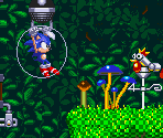 Mushroom Hill Zone Act 2 (Summer, 2/4)