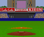 Tokyo (Pitcher/Batter View)