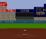 Nagoya (Pitcher/Batter View)
